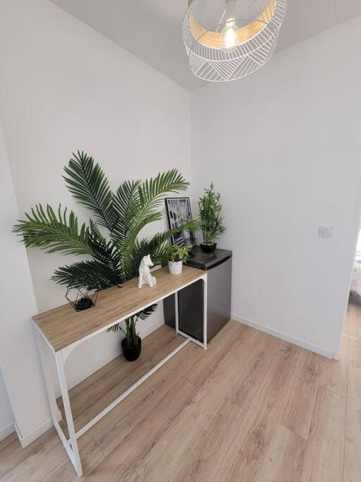 Appartement Superbe T2 Avec Parking à Albi Extérieur photo